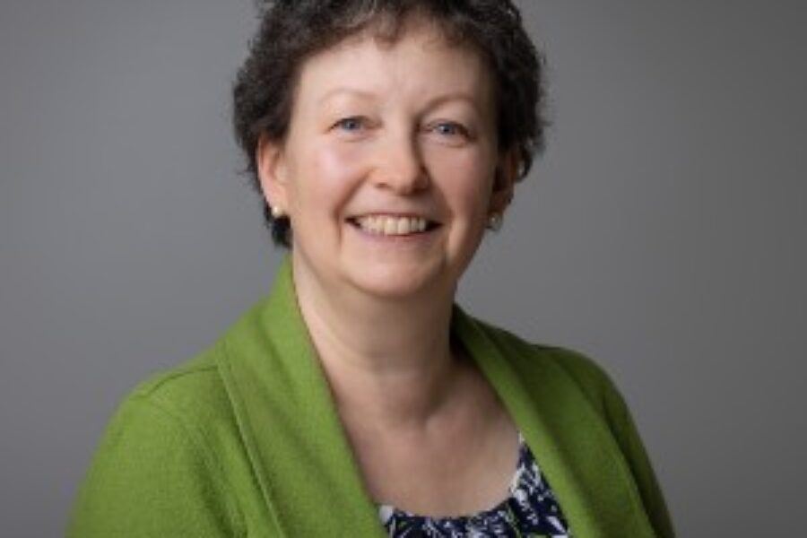 Dr Jane Halpin, Chief Executive, Hertfordshire and West Essex ICB